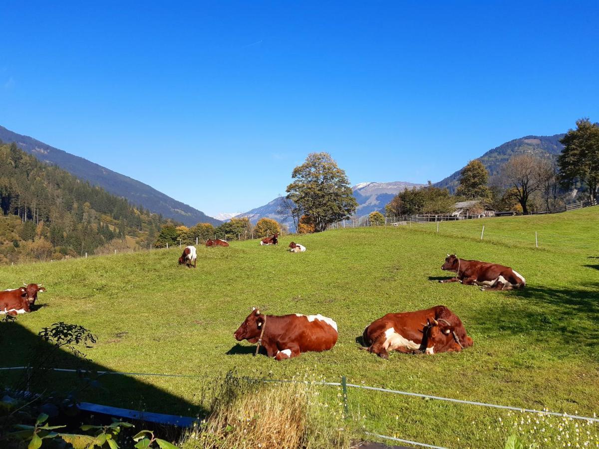 Hoislbauerngut Appartement Bad Hofgastein Buitenkant foto