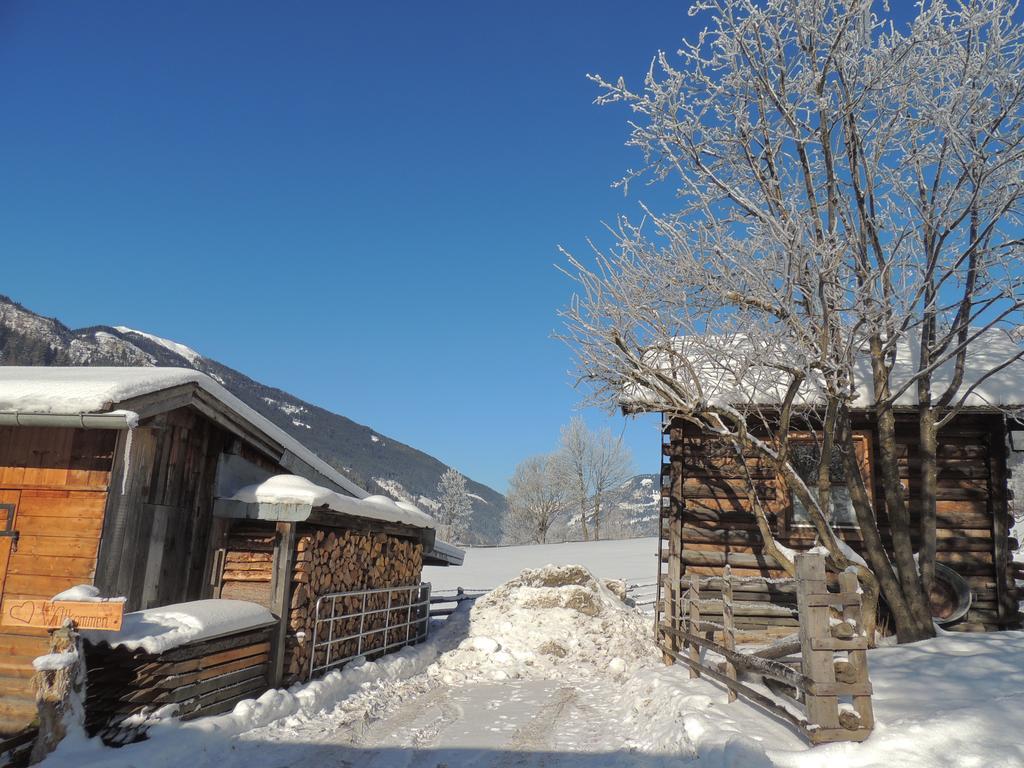 Hoislbauerngut Appartement Bad Hofgastein Buitenkant foto